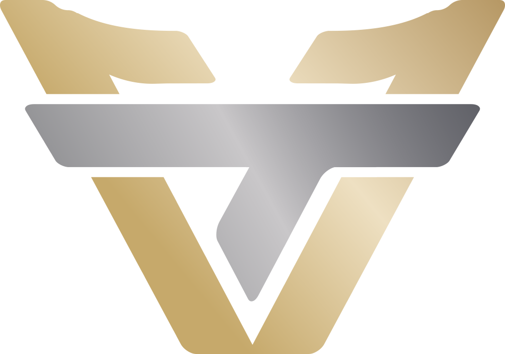 Team oNe eSports
